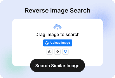 Reverse Image Search