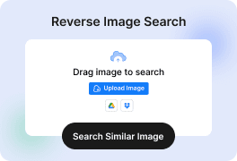 Reverse Image Search