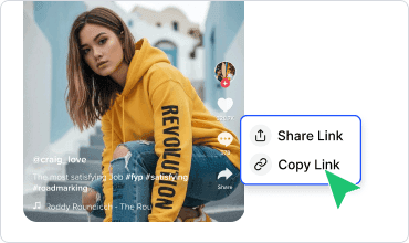 Paste Link