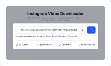 Paste the Link
