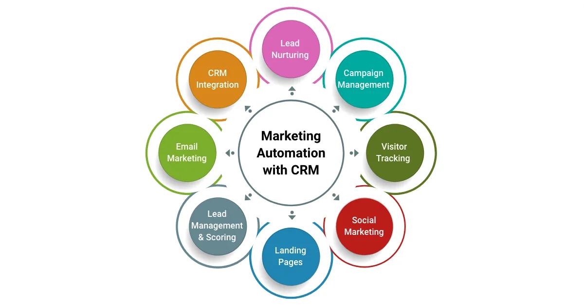 Marketing automation.webp