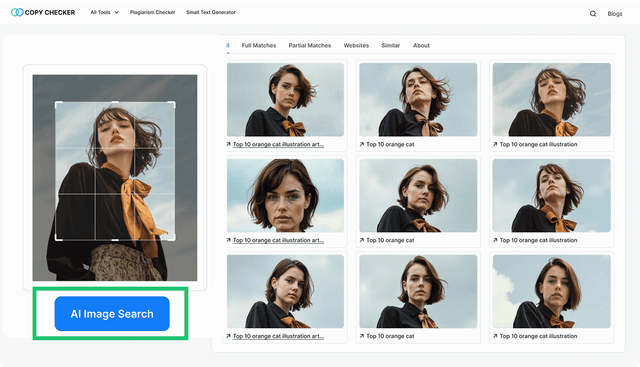 Imagine Searcher AI Reverse Image Search - Find Similar Images & Face Search