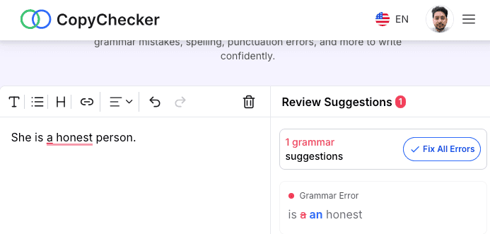 Incorrect Article Usage