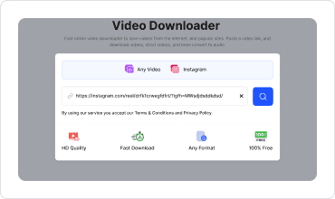 Screenshot of pasting a video URL to download.