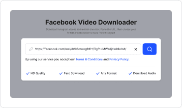 Paste the URL