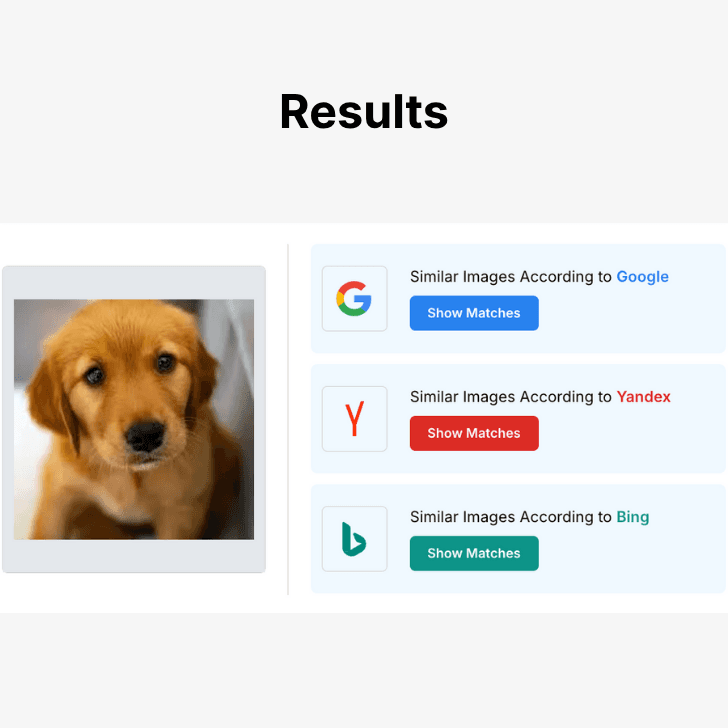 different search reverse engine results